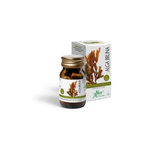 pharmacieloreto-120260928201216692690